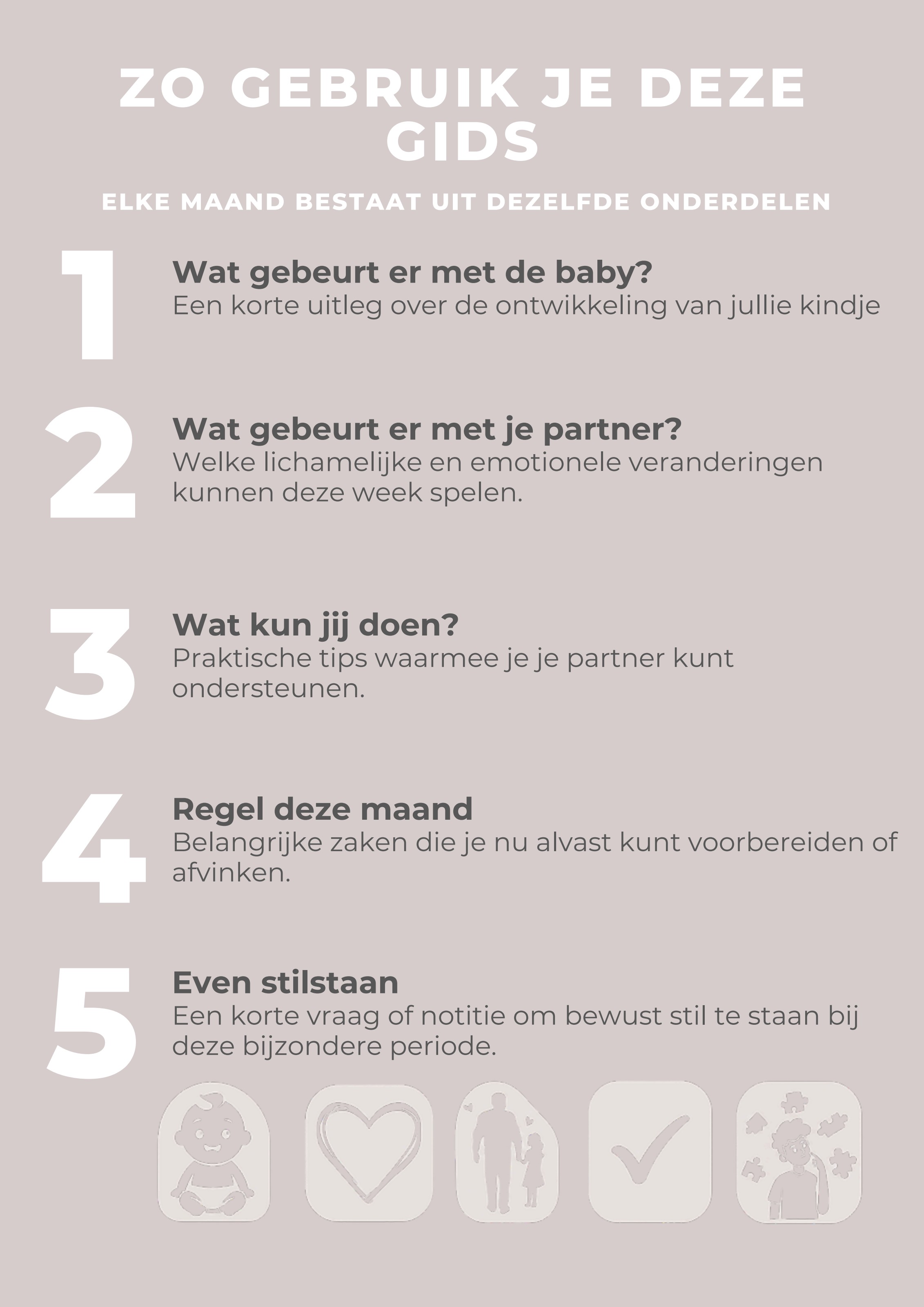 Pagina 'Zo gebruik je deze gids' met de vijf vaste onderdelen